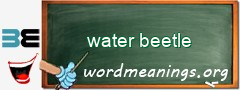 WordMeaning blackboard for water beetle